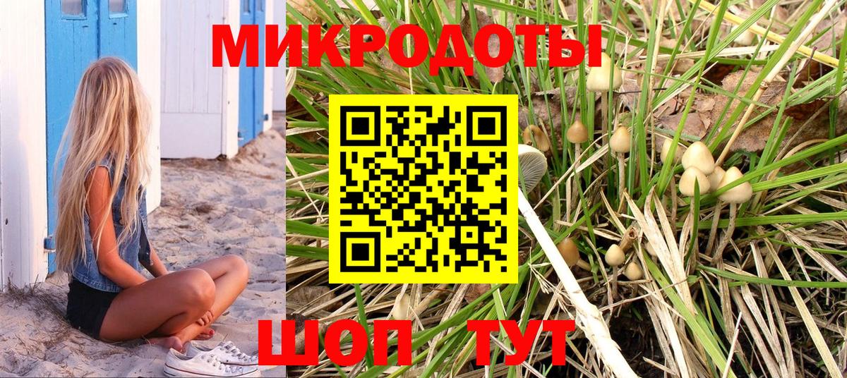 Псилоцибиновые грибы мицелий Губаха