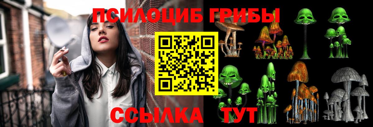 Псилоцибиновые грибы Cubensis  Псилоцибиновые грибы ЛСД  Губаха  Вход с VPN 